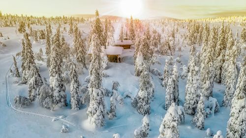 Free Serene winter landscape of a snow-covered forest at sunrise in Lappohja, Finland. Stock Photo