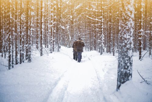 Free Two people walking through a snowy forest in Lapland, Finland during winter. Stock Photo