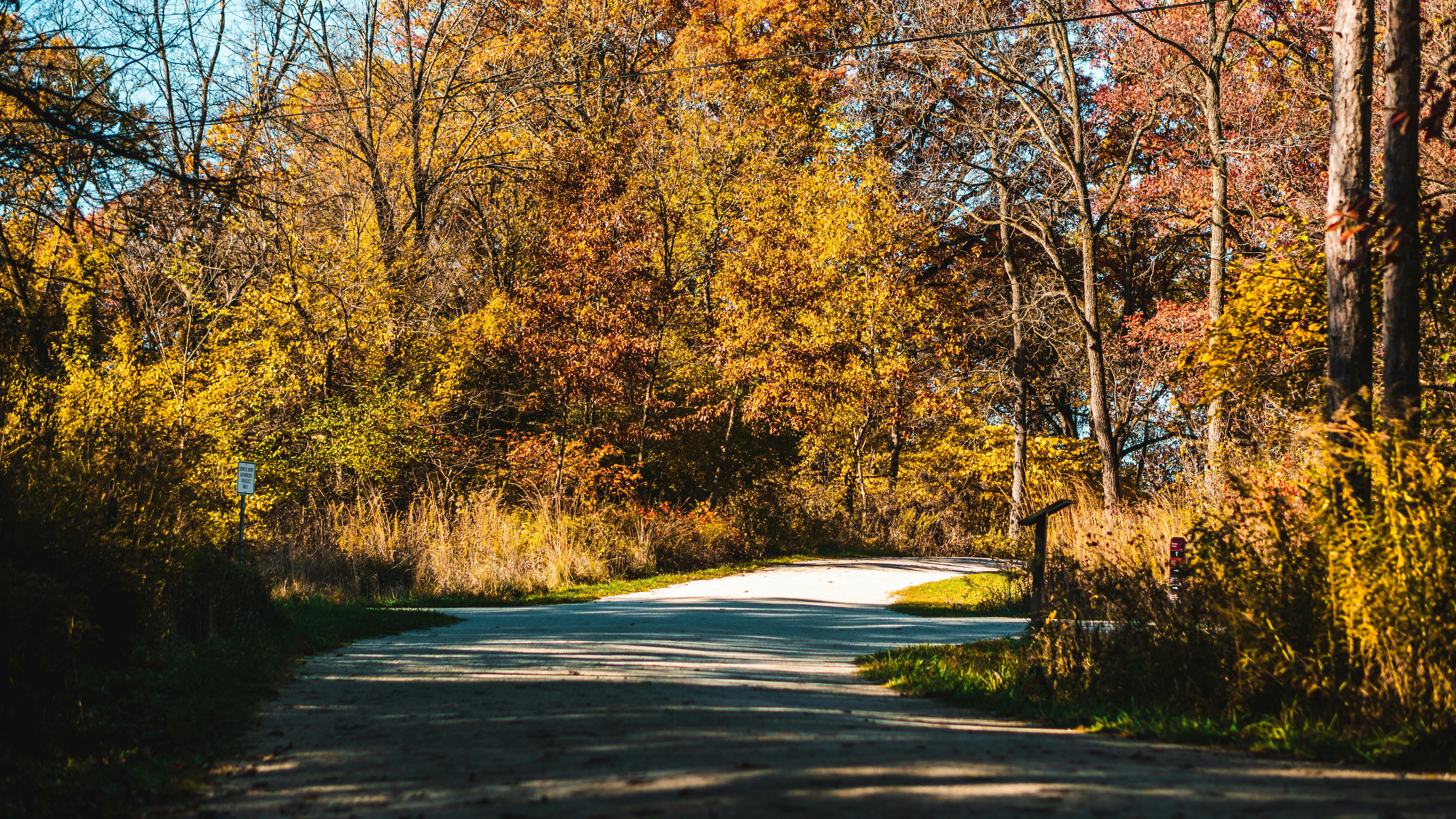 DuPage Forest Preserve executive director leaving for city manager job in Florida — Photo by Chait Goli on Pexels