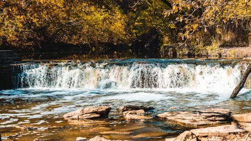 Waterfalls in the Middle of the Forest