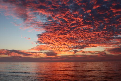 免费 日出, 日落, 海 的 免费素材图片 素材图片