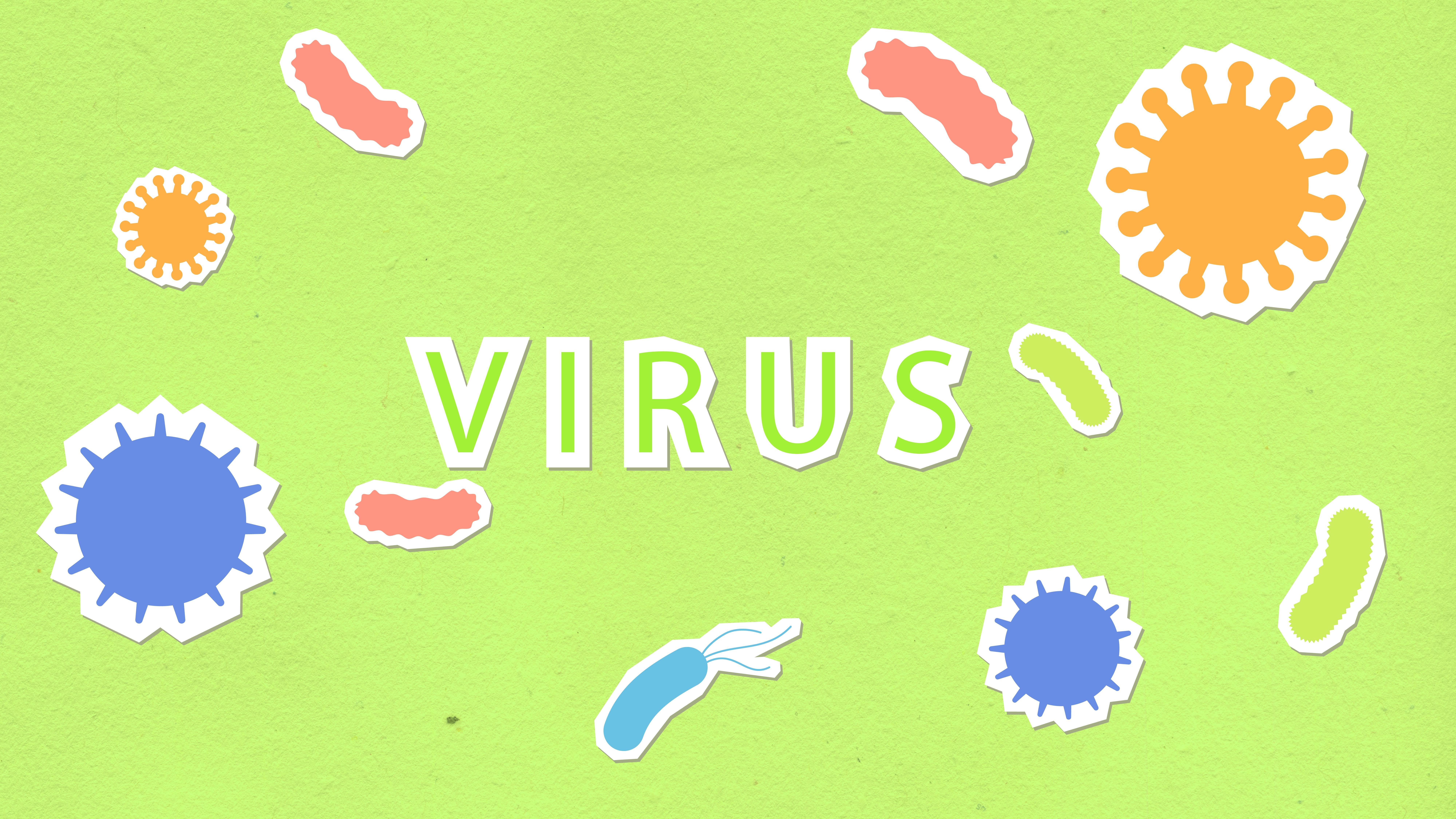 Les différents types de maladies virales