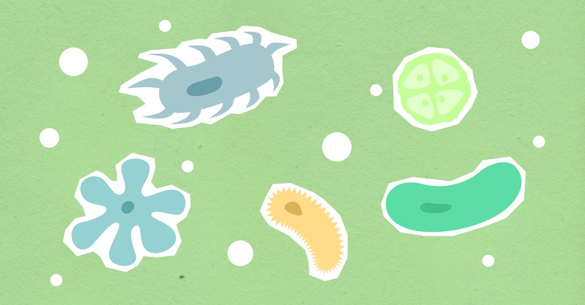 Exploring the Various Scientific Disciplines You Can Pursue