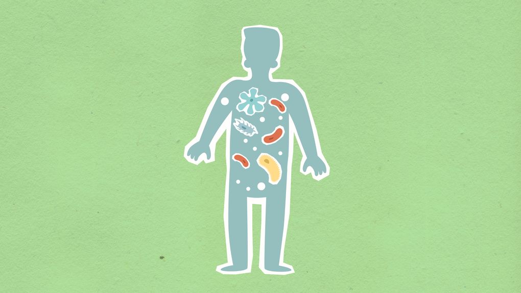 gut bacteria illustration science