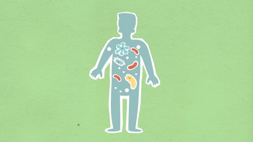 Free From above of cutout cardboard illustration of person with different bacteria spreading in body on green background Stock Photo