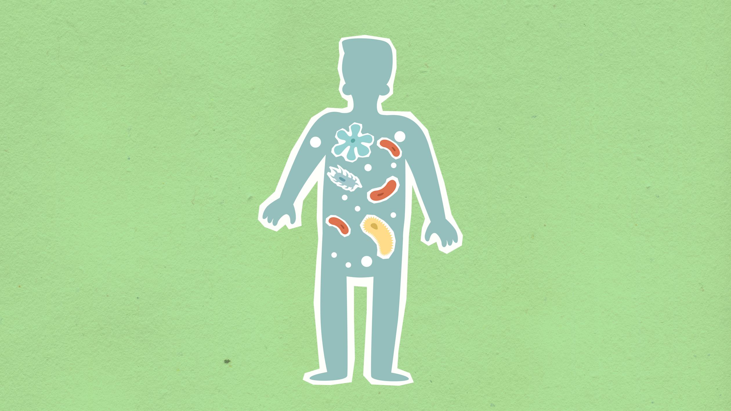 cartoon body on green background containing microbes