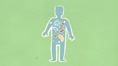 Why two stool sequencing methods can disagree about the same sample