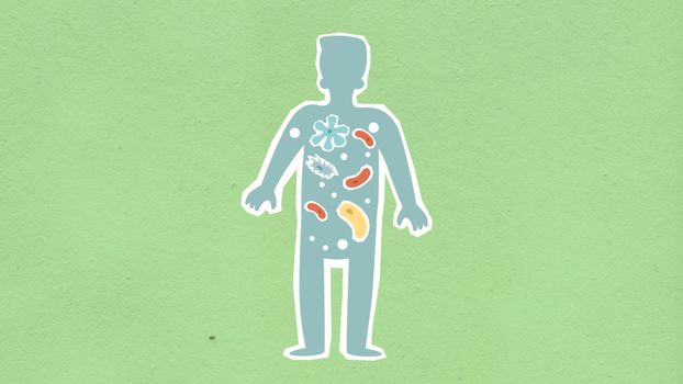绿色背景上方，是人体内传播不同细菌的切口纸板插图