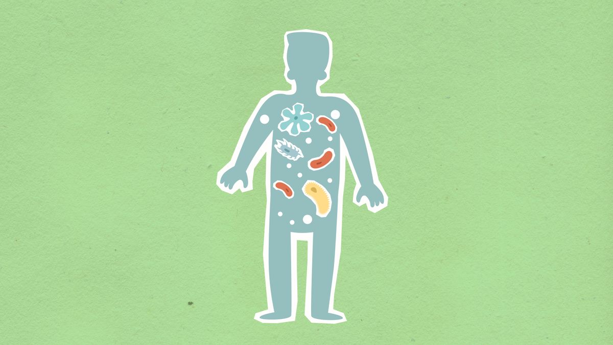 IA et microbiome vaginal : la santé des femmes précisée