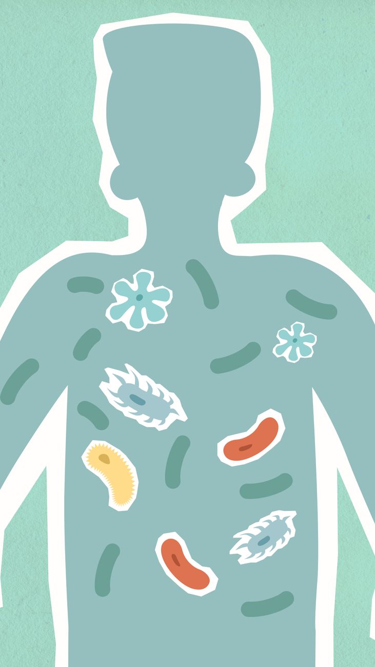 Kit Intestino Inflamado