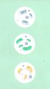 Top view of round and oval shaped cardboard appliques representing assorted germs on green background