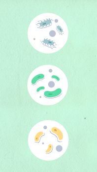 Top view of round and oval shaped cardboard appliques representing assorted germs on green background