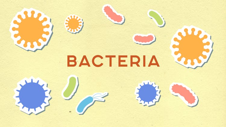 Cutout Cardboard Illustration Of Various Bacteria With Inscription