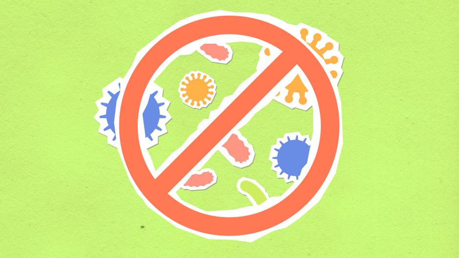 Gut Microbiome Shapes Brain Plasticity, Influencing Mood and Stress Response