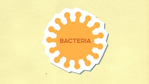Free Cutout paper composition of bacteria on light background Stock Photo