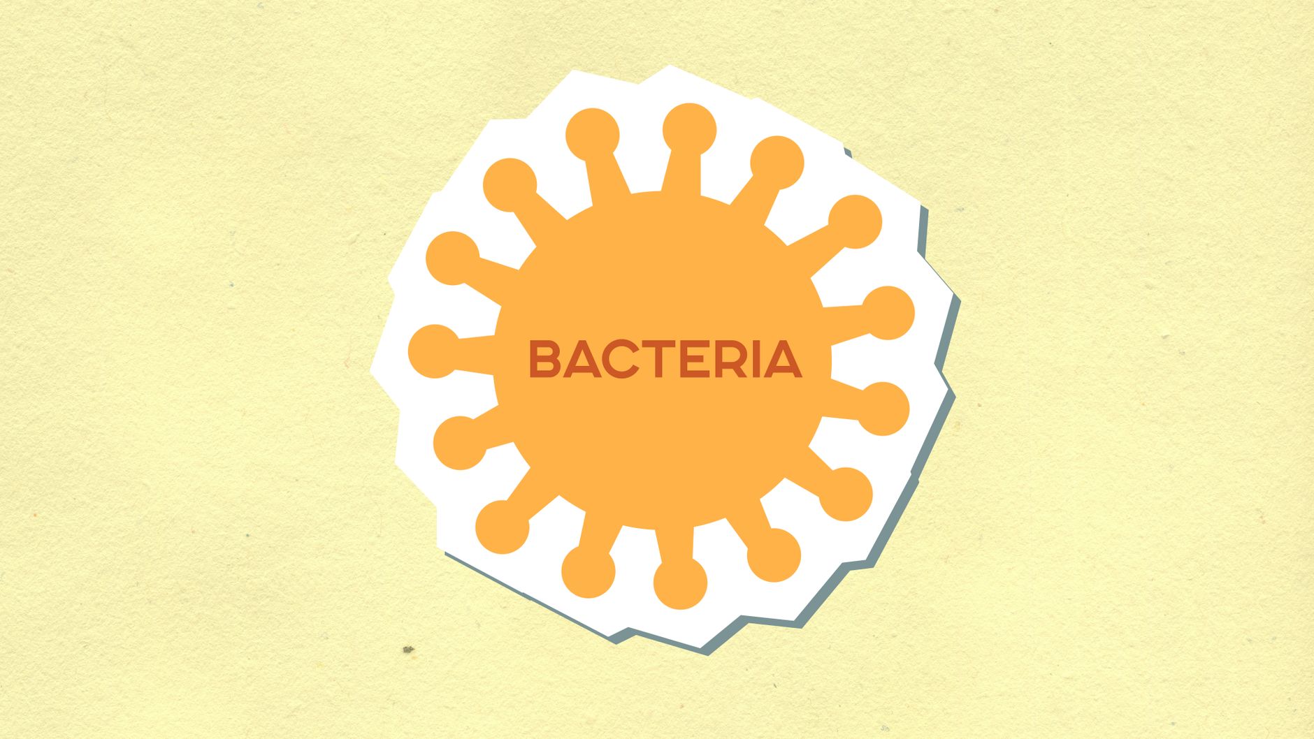 Does Drinking Alcohol Kill Germs? What You Need to Know