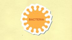 Cutout paper composition of bacteria on light background