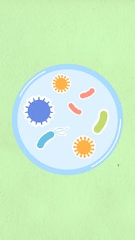 Photo by Monstera Production From above of decorative cardboard illustration of cell with collection of microbes in capsules