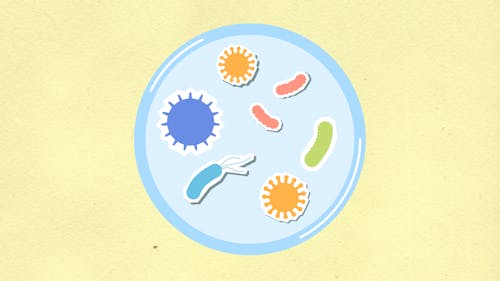 Free Cutout paper illustration of assorted microorganisms and viruses on cell Stock Photo