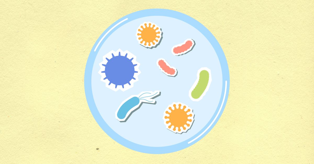 diverse gut bacteria illustration with sleep cycle icons