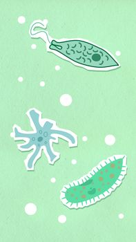 From above of decorative cardboard illustration representing different aquatic creatures in capsules with nuclei
