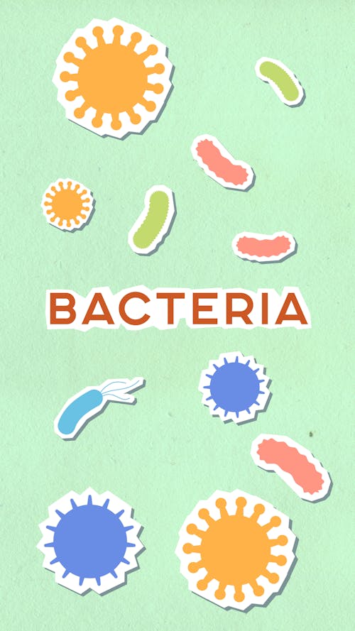 Free Cutout paper appliques of Bacteria inscription between assorted microbes and viruses on green background Stock Photo