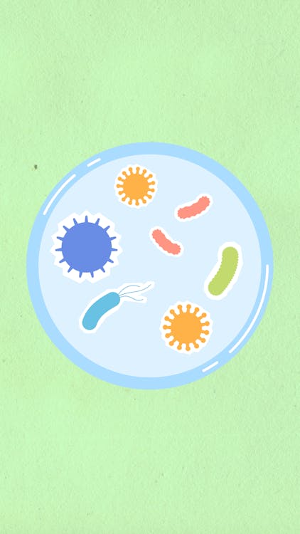 Free Cutout paper composition of cell with bacteria and viruses Stock Photo