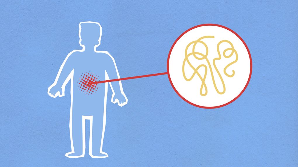 gut health illustration concept