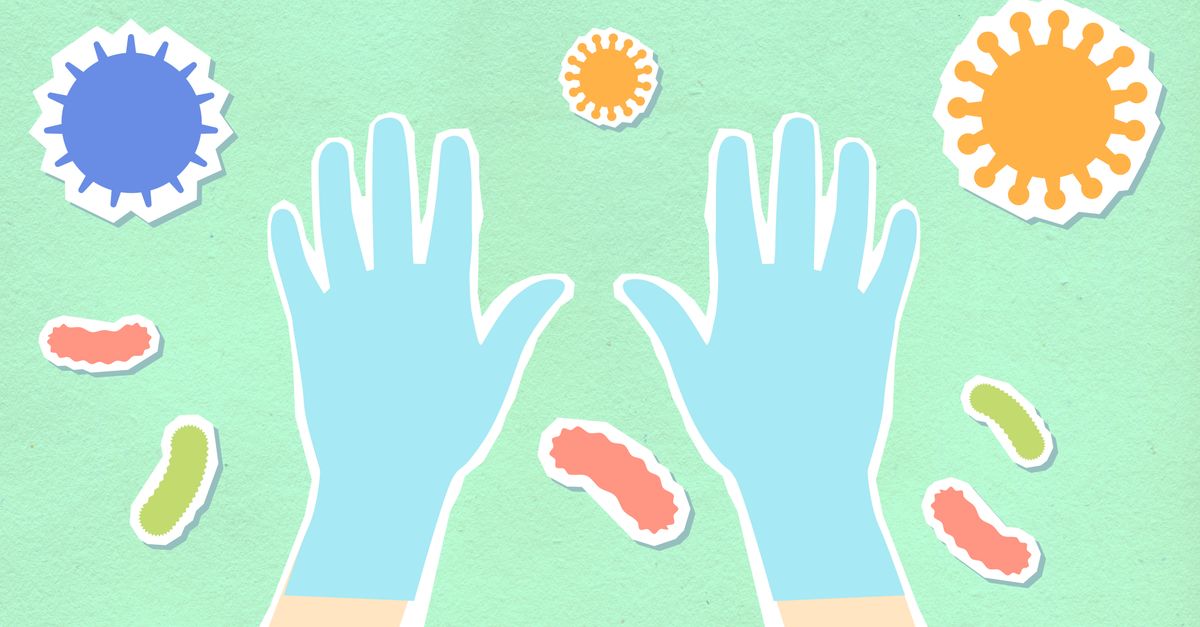 gut microbiome bacteria diversity illustration