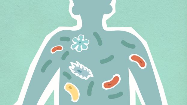 Top view of decorative cardboard appliques of human figure with different bacteria in body on green background