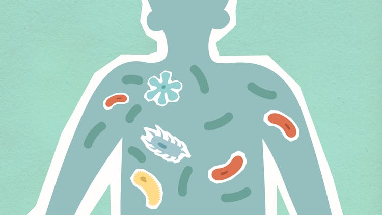 Cutout Paper Illustration Of Person With Bacilli In Body