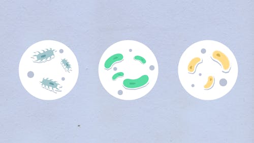 Free Decorative cardboard illustration of assorted bacteria on gray background Stock Photo