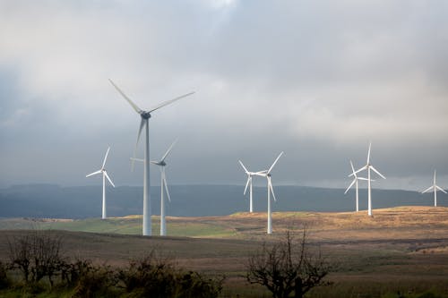 White Wind Turbines on the Field