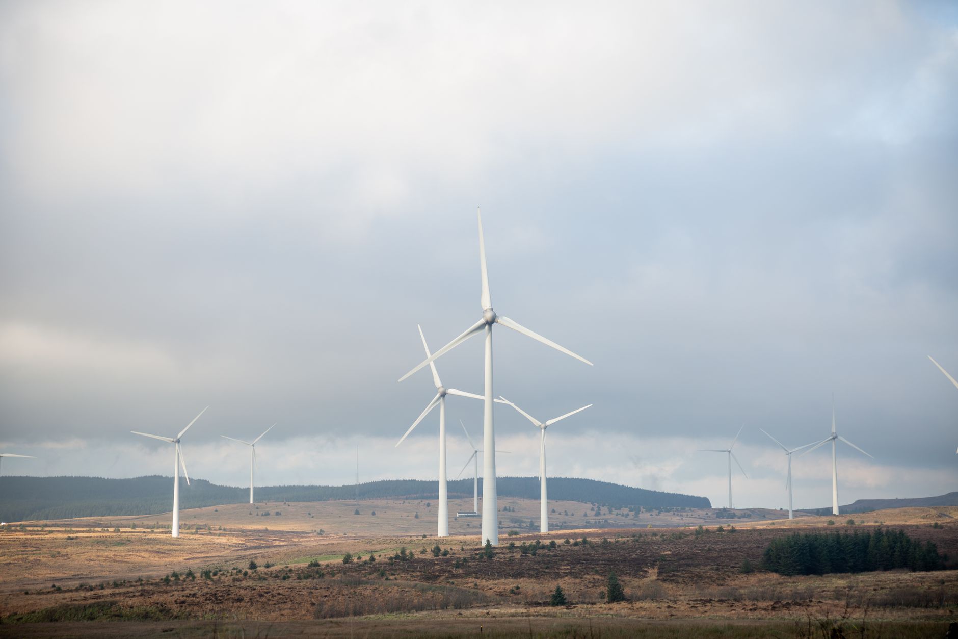 Wind turbines dot a cloudy landscape in Northern Ireland, showcasing renewable energy.