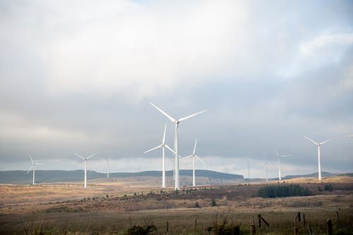 Photo of Windmills Under Cloudy Sky