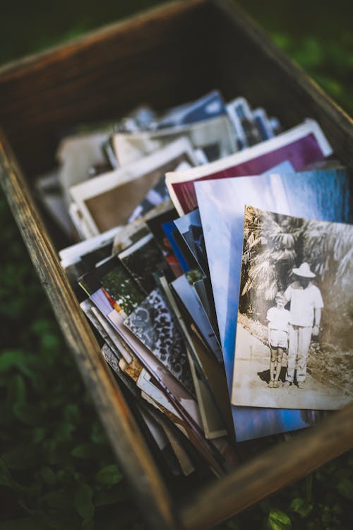 Foto d'estoc gratuïta de fotografies, records