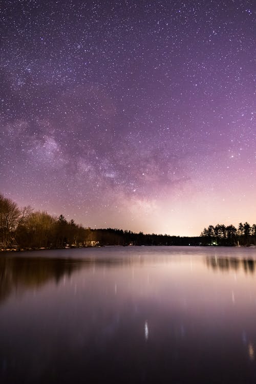 剪影, 夜景, 天性 的 免费素材图片