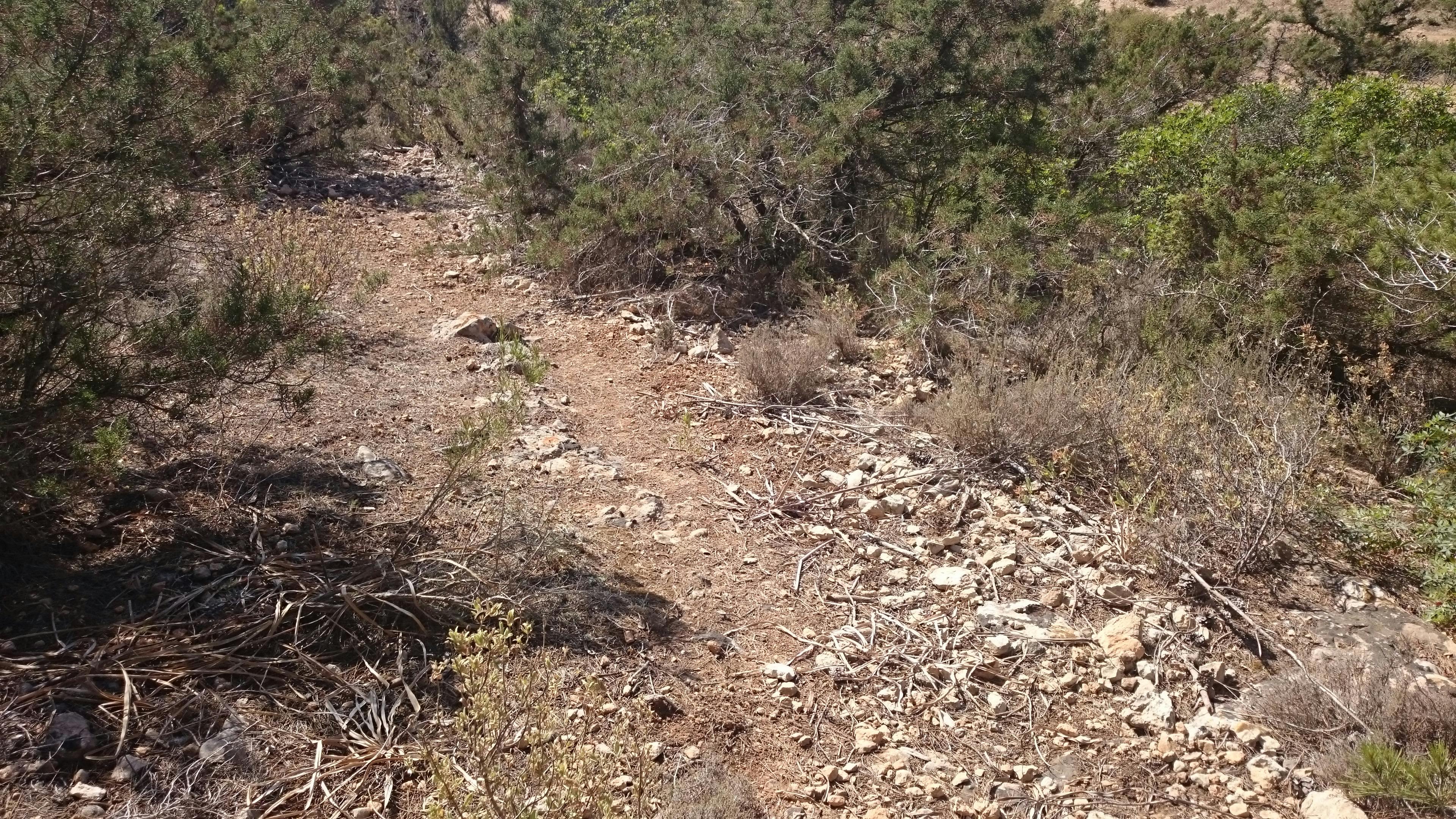 Side by side concept of people in a café with and without masks representing before and after precautions