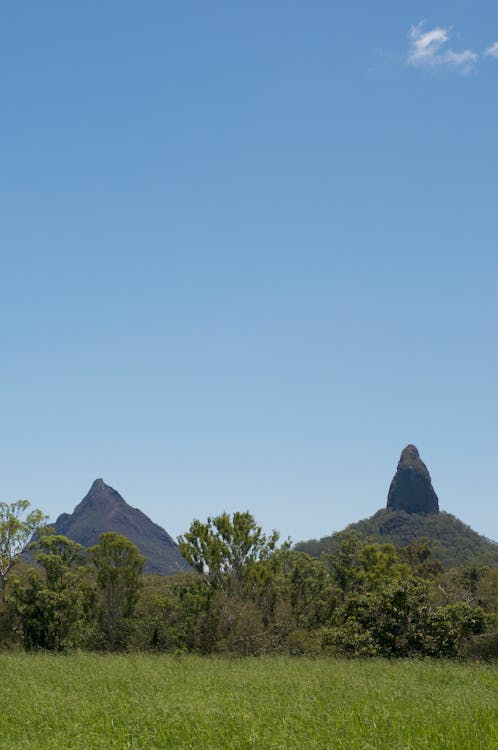 Gratis Fotos de stock gratuitas de arboles, atalaya, atracción Foto de stock