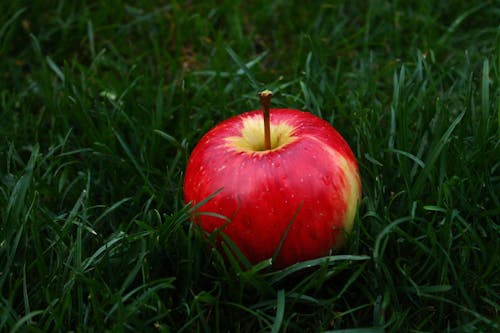 Free Красное яблоко на траве Stock Photo