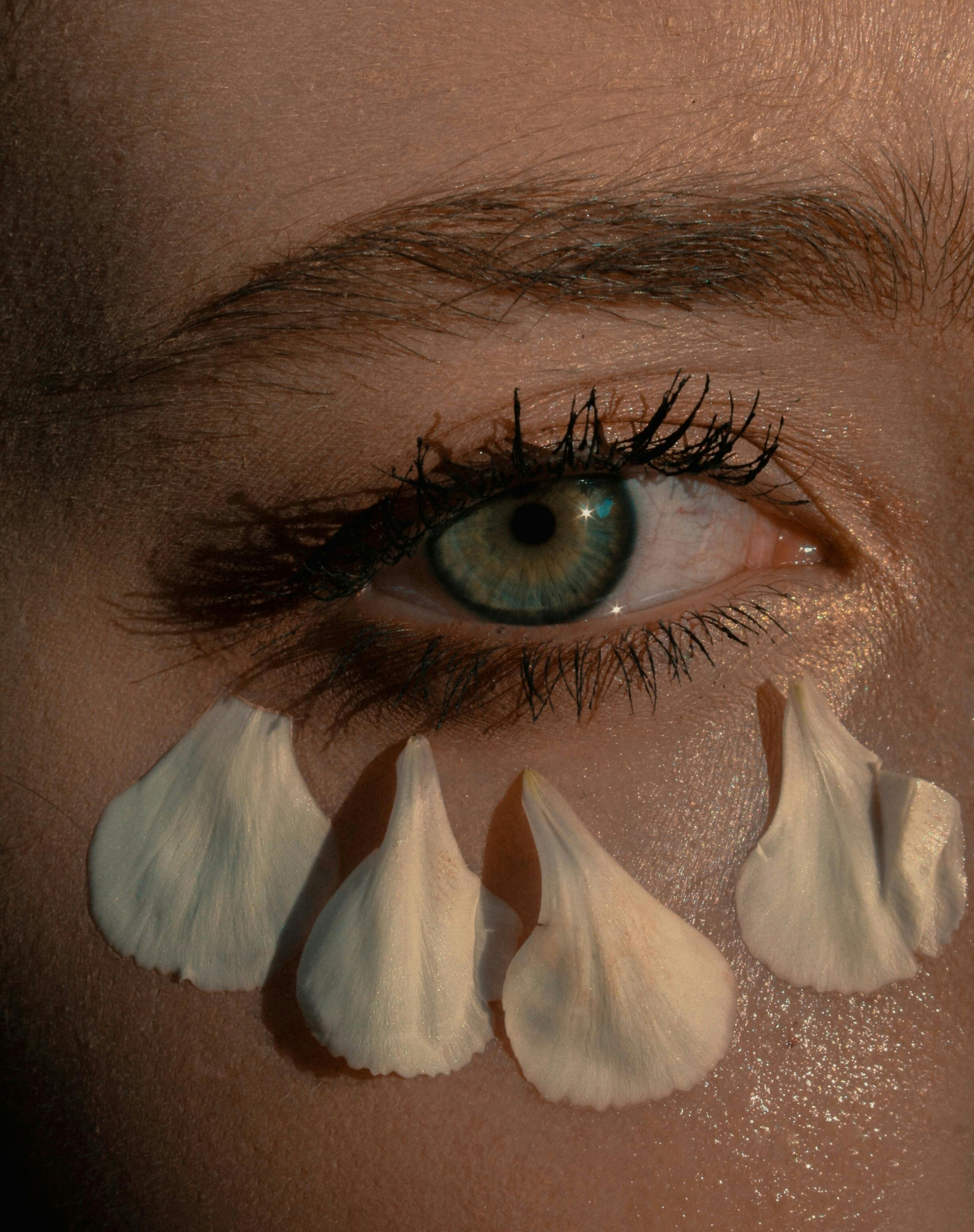 close up shot of persons eye with white flower petals