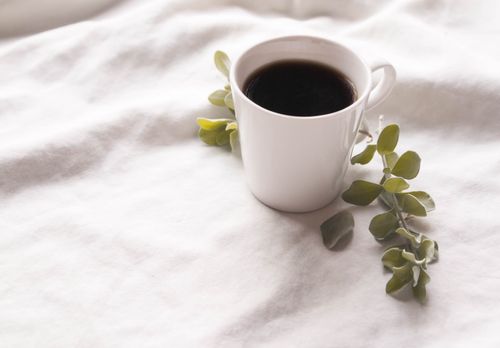 Free A white ceramic cup filled with coffee, accentuated by fresh green leaves on a soft white background. Stock Photo