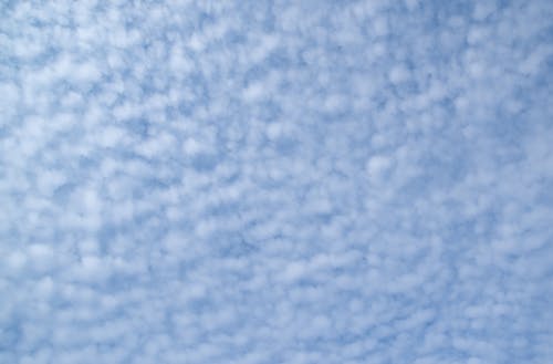 Low Angle View Photography of Cirrus Clouds