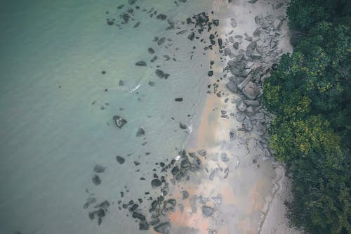 Aerial view of tropical stony seacoast