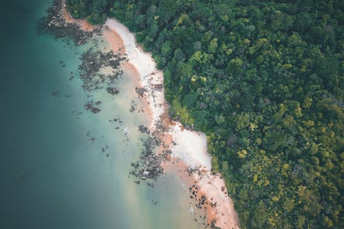 Free Drone view of turquoise sea washing stony coastline with white sand and lush exotic vegetation in daylight Stock Photo