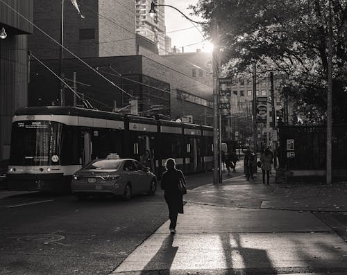 Základová fotografie zdarma na téma chůze, denní světlo, dlažba