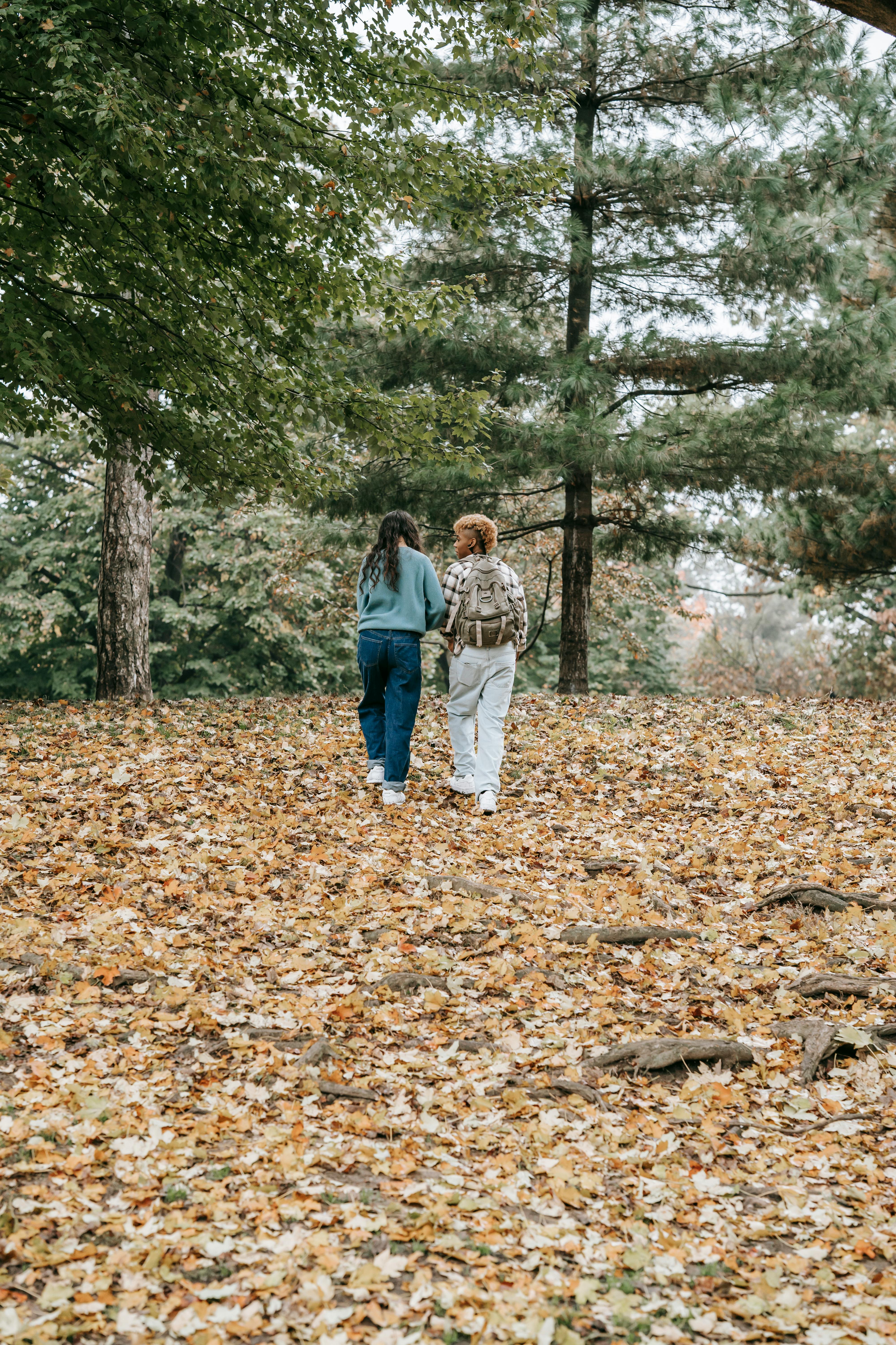 anonymous couple strolling in autumn forest