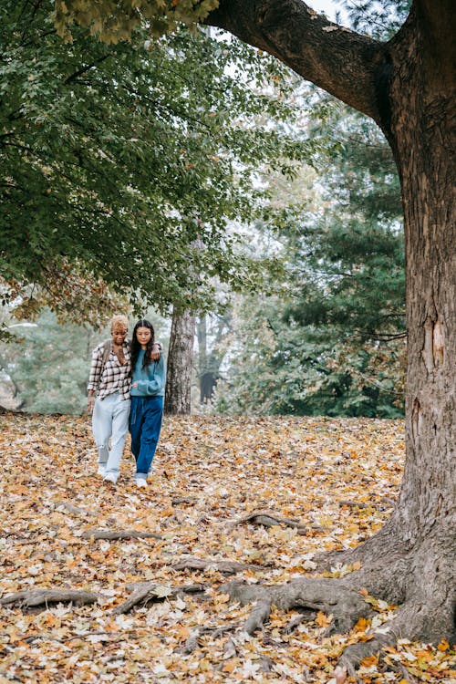 Free Happy multiethnic lesbian couple walking on fallen leaves and hugging Stock Photo