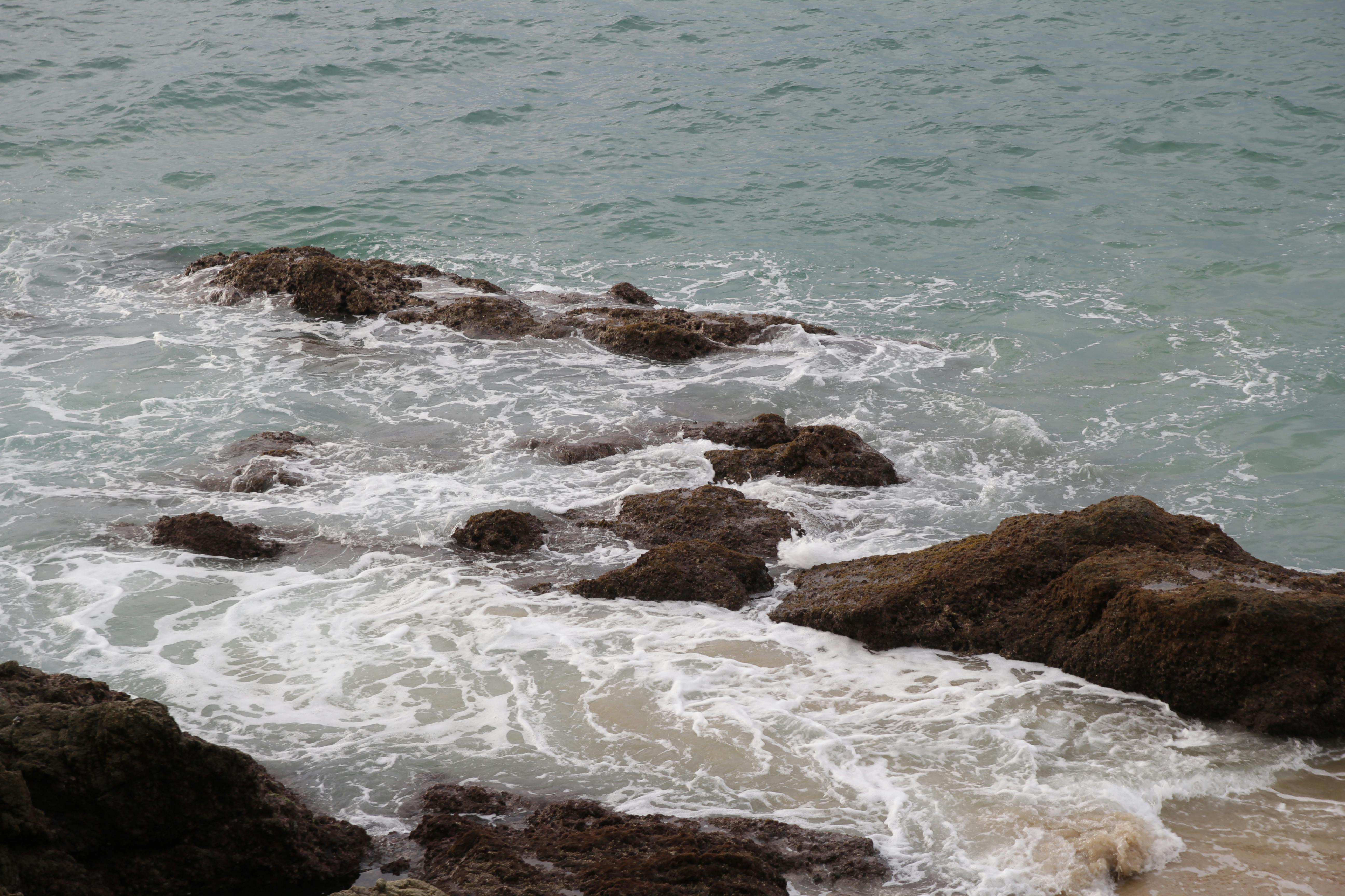 Cozy monthly home rental living room with modern furniture