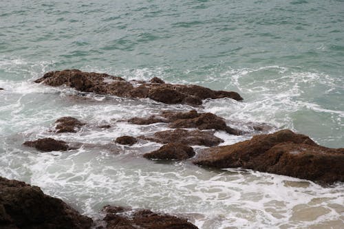 Základová fotografie zdarma na téma mávání, mechem obrostlé kameny, na pláži